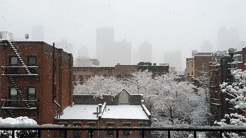 tkyle:NYC Snow 1/24/15