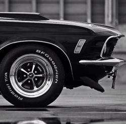 goldielookingchain:  Ford Mustang Boss 302