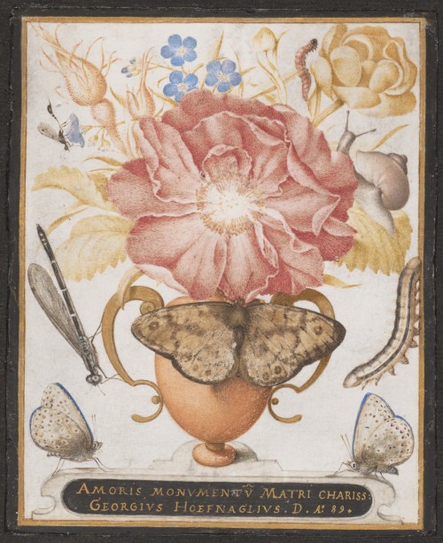 baroqueart:  Still Life with Flowers, a Snail and Insects by Joris Hoefnagel Date: 1589