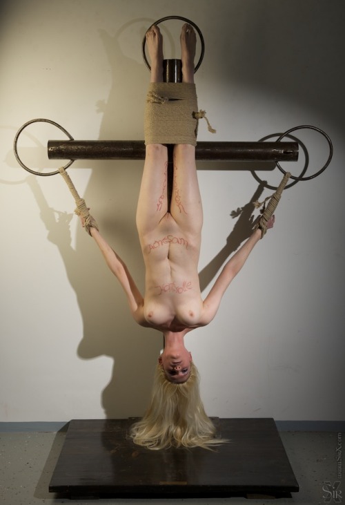 XXX artofbondage 154726696857 photo