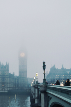 expressions-of-nature:  by Sandra AhnLondon,