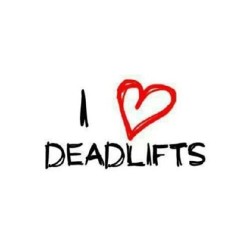 connordeuby:  My favorite exercise of all time! #powerlifting #bodybuilding #powerbodybuilding #gymmemes #deadlift #backday #legday 