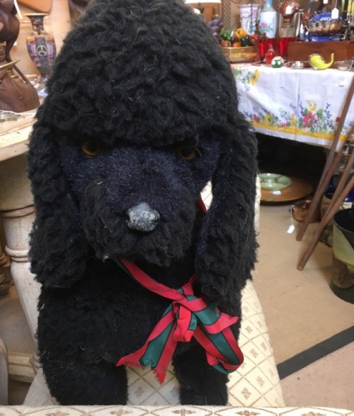 I really wanted to take this giant poodle plush home, but he was priced at $75, so I had to leave hi