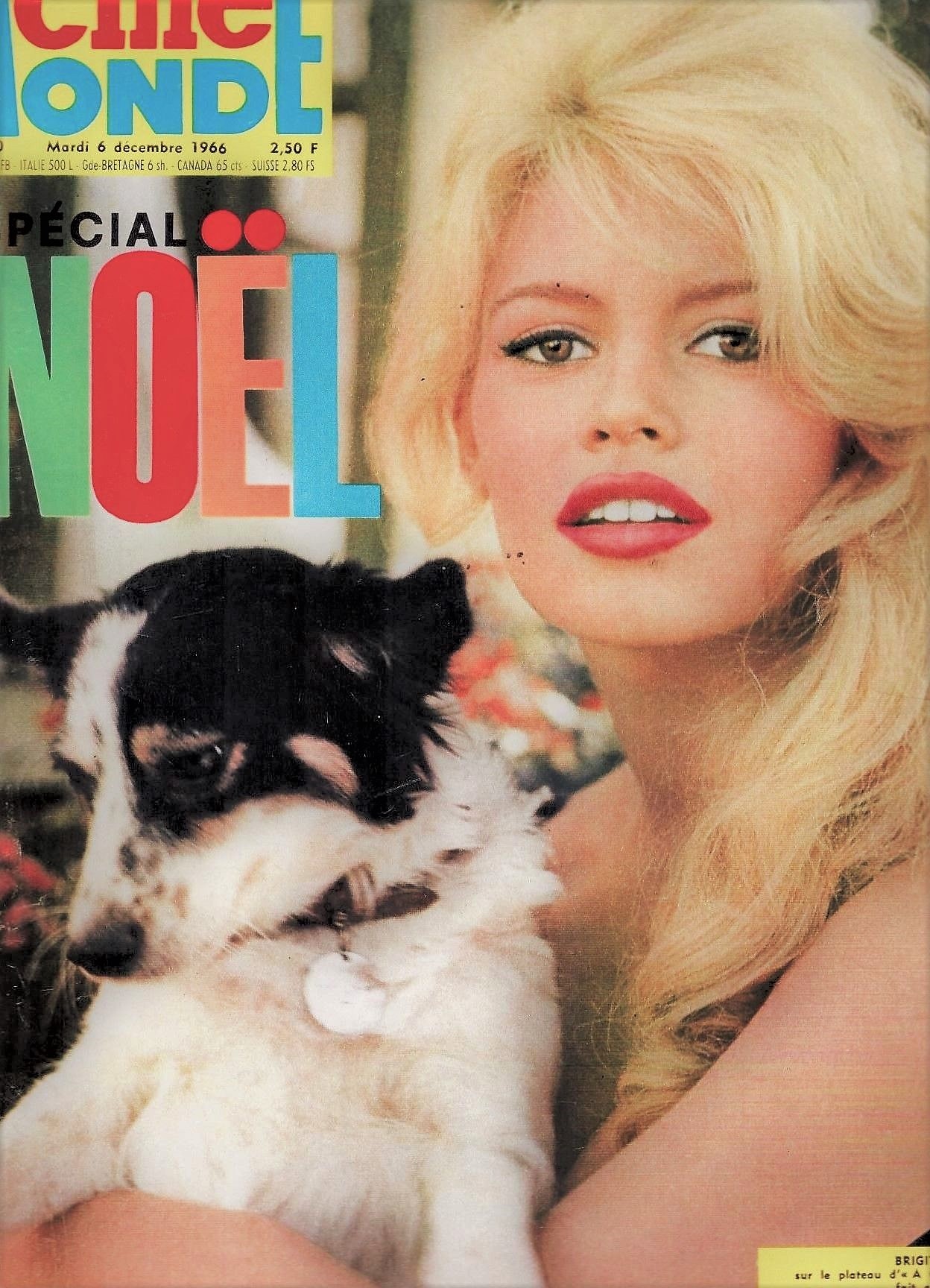 Brigitte Bardot with her dog Guapa,  