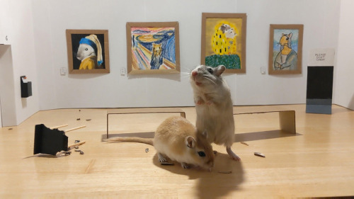 Two Curious Gerbils Visit (and Chew On) A Miniature Art Museum Made By Their Quarantined Owners