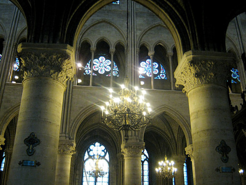 before-life:The nave of Notre Dame, Paris, France (photo by  Lauren)