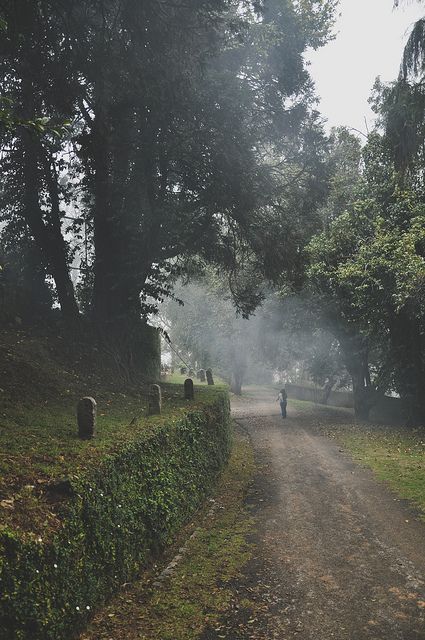 Foggy Mornings At Oxford