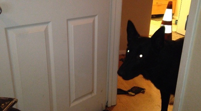 tailovecna:  Hello mother give me your soul
