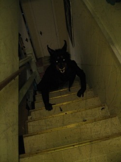 deermary:  for years, this image has been accompanied with “if yoU SAW THIS ON UR STAIRS WAT WUOLD U DO?!?!??!” and filtered in black and white tagged with “demon” and “satan” and i can just tell its a fursuit that needs recognition.sourcing