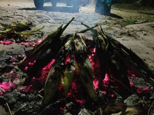 jalisco-y-tequila:  Soy tan feliz cuando vengo a mi rancho!  😔