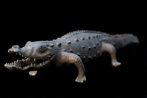 historyarchaeologyartefacts: Model alligator believed to once have been hung from the ceiling of an 
