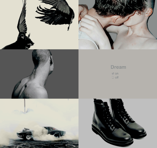  ■ favourite ships: Adam Parrish & Ronan Lynch (The Raven Cycle Series)When Adam kissed him, it 