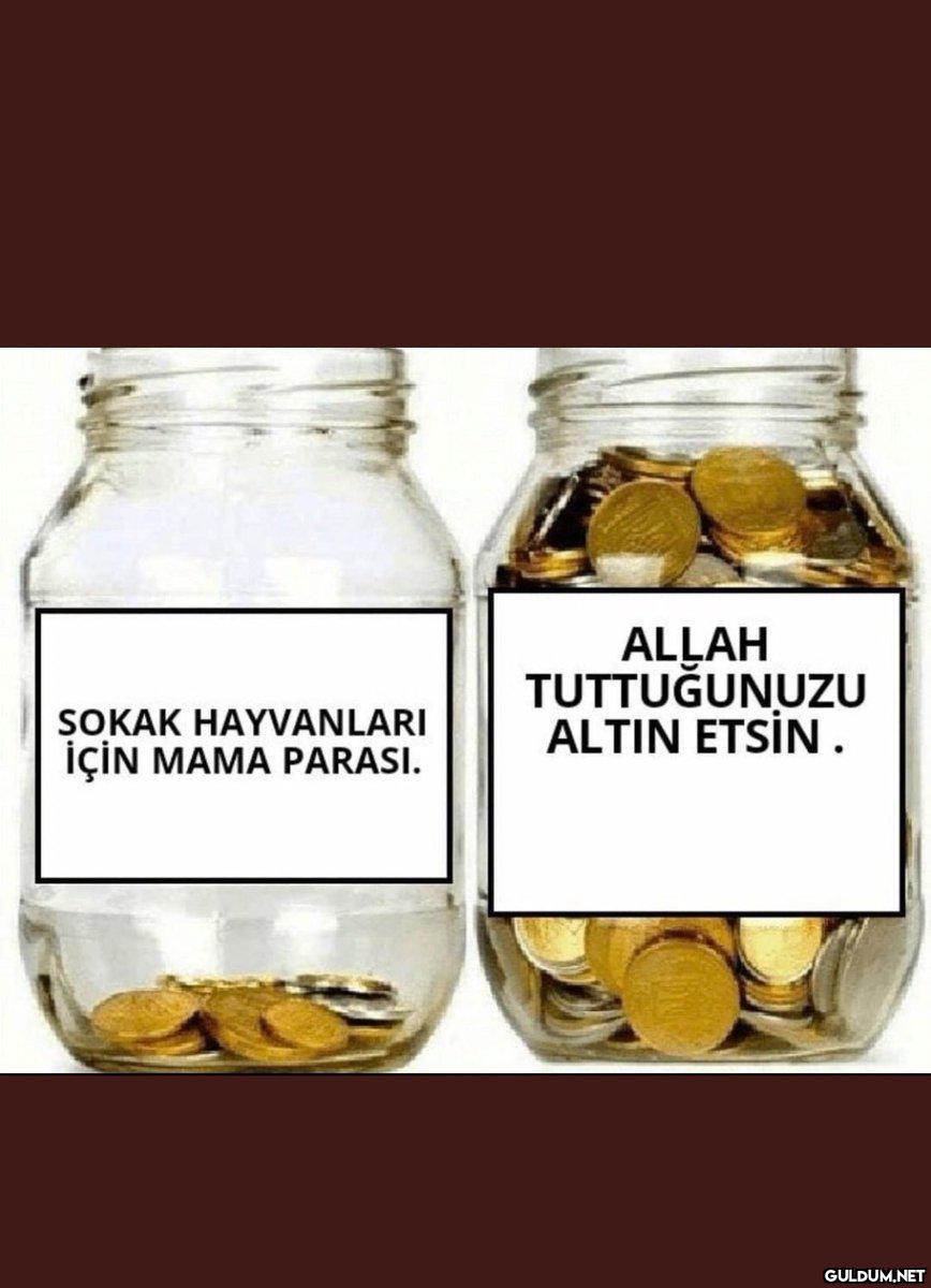 " ALĻAH TUTTUĞUNUZU ALTIN...