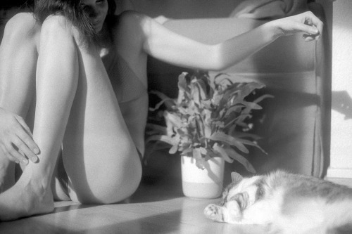 mrchill:Carma, sat in the sun · Canon AE1 &amp; Agfa APX400 © Chill · IG &amp; Tumblr for censored stuff· My portfolio for uncensored stuff