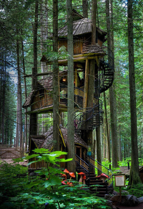 treehauslove:  The Enchanted Forest Tree House. A three level tree house straight from a fairy tale. It is supported by several tree trunks and has a long spiraling staircase connecting all the levels. The Enchanted Forest is a unique attraction in one