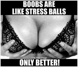 theoneyoudontexpect:  winemeup49:  ladyanalinguist:  The only thing I do with stress balls is throw them against the wall as hard as I can. It does help, you should try it some time. Please don’t do that with boobs though. Boobies are for fondling