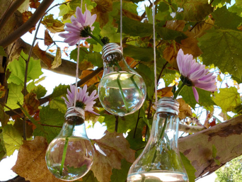 ippinka:  Turn your old lightbulb into a vase.