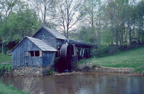 Mabry Mill, Blue Ridge Parkway, Meadows of Dan, Patrick County, 1979.An early example of my obsessio