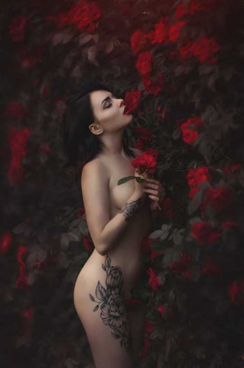 xxenigmaoflifexx:papilllon
