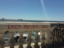 carpediemtuvidadisfrutabien: &ldquo;casi&rdquo; Viña del mar. 