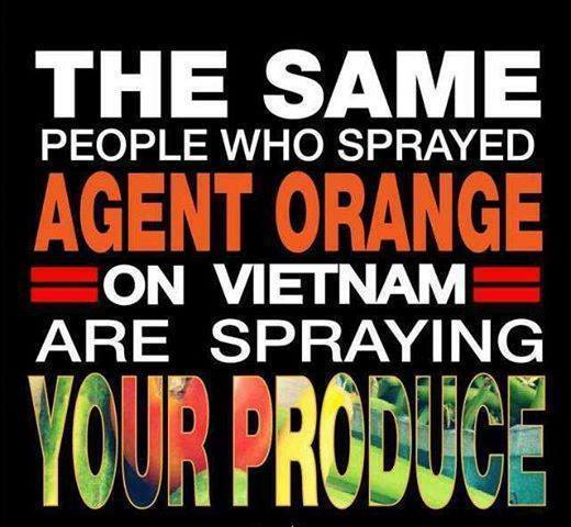 lightvsdeception:  hellnotogmo-monsanto:  #occupy monsanto - we march on may 24th!