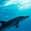 saltwaterwitchcraft
