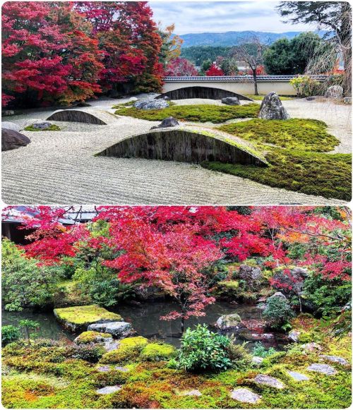 ＼おにわさん更新情報／ ‪[ 京都市左京区 ] 実相院庭園 Jisso-in Temple Garden, Kyoto の写真・記事を更新しました。 ーー皇室ゆかりの門跡寺院に残る、紅葉の美しい池泉式
