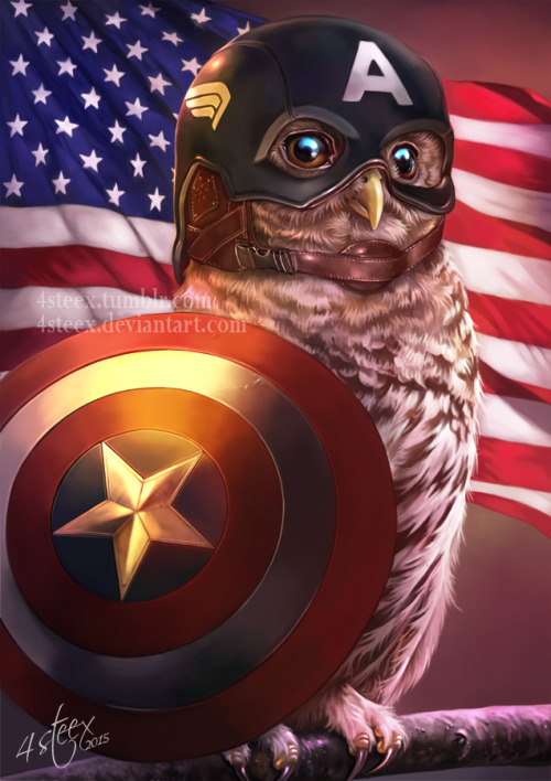 4steex:Captain Owlmericamy fourth take in the Owlvengers series (Owls cosplaying as marvel’s avenger