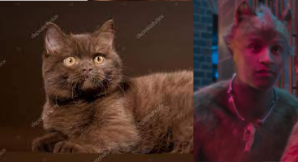 Cats 2019 As Real Cats Cause Why Not.part 3 The Toms