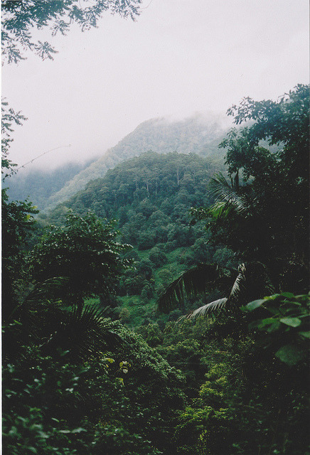 brutalgeneration:  untitled by alexbowler on Flickr. 