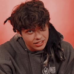 iconseriezs:noah centineo playing with puppies icons ♡like if you saved© idgafrary on twitter