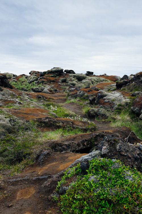 Vatnajökull National Park, Iceland.