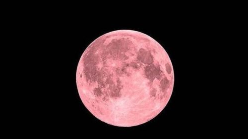 "The Moon Knows "