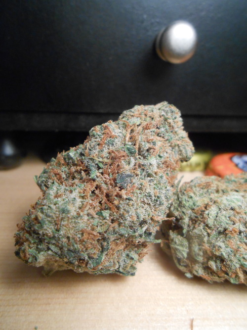 larnbey:  love these nugs 