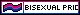 Pride Web Badges