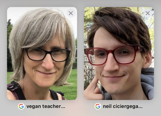 Teacher vegan