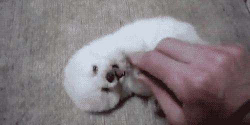 weedlovinwitch:  harpybeak:  samdirector24:  sixpenceee:  For those of you very overwhelmed by the c