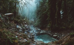 bryandaugherty:Foggy morning at the hot springs.