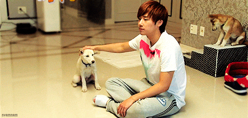INFINITE Lovely With Puppies