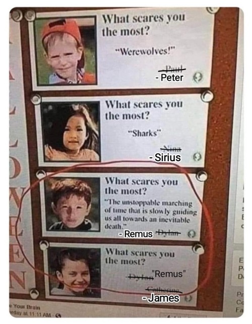Sirius Is Just Too Foolish To Fear The Right Thing.
