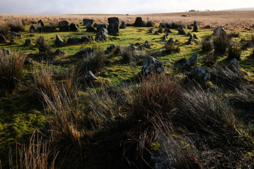 Yellowmead Stone Circles, Dartmoor, 29.12.17.This highly unusual Bronze Age site features a series o