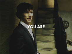 fictiovore:  I am the most unpleasant, rude, ignorant, and all-round obnoxious arsehole that anyone 