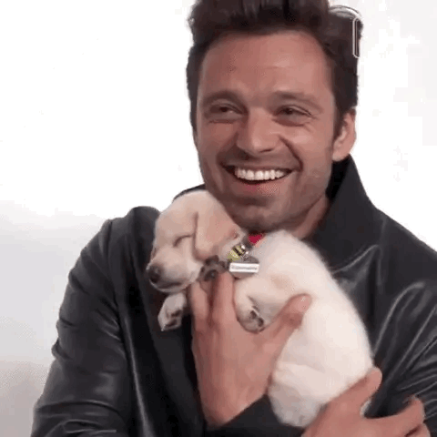 Puppy Interview With Sebastian Stan Would Fix All My Problems