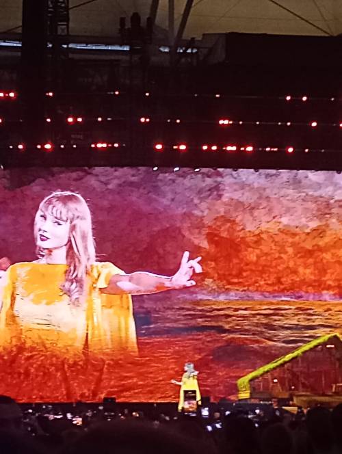 The Moment You Realize That You Have Pics Of Taylor In Your Camera Roll That You Took Yourself, No Matter