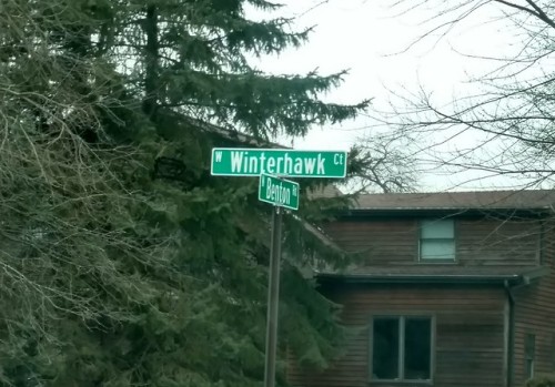 llamaal:rosiethereader:I think I just found the place where all the Bucky/Clint shippers live I’d ne