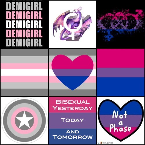 nb-positivity-images:Bisexual demigirl moodboard for anon! Pride dragon made by @kaenith