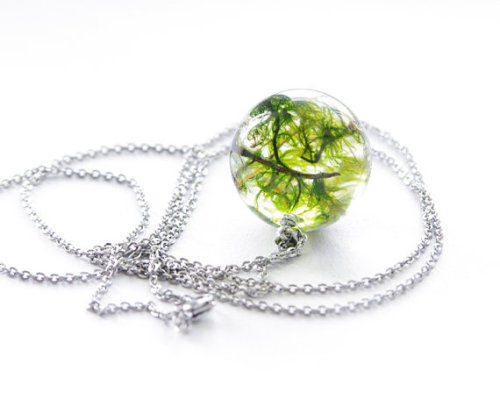 catslock: wacky-thoughts: Real moss globe necklace by UralNature everything on this site is beautifu