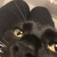 sussycow69-blog