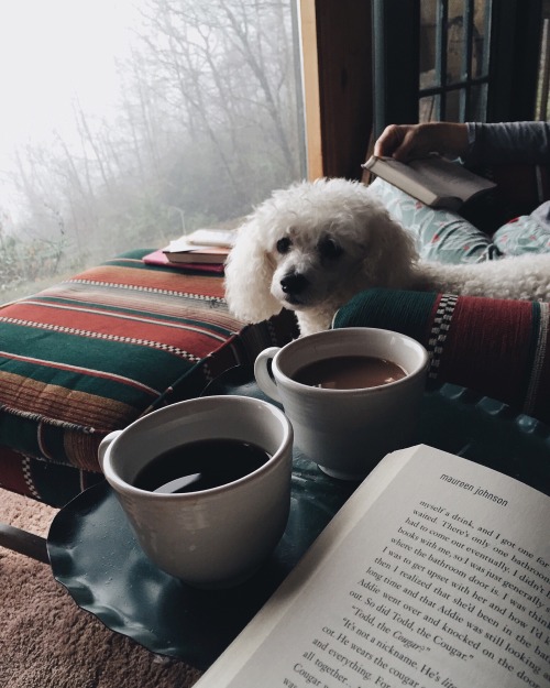 clockworkbibliophile:peaceful sunday mornings :)