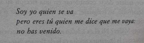 ex-noctambulo:  —  Alejandra Pizarnik, Diarios 